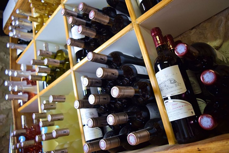 autour-duras-chateau-la-boissiere--3--2