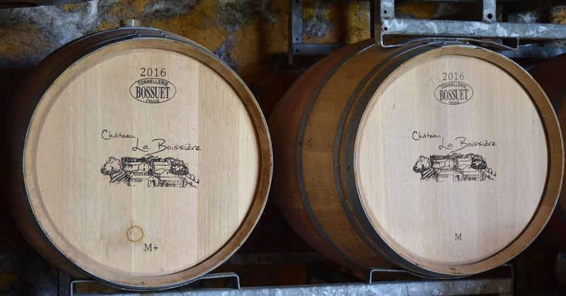 autour-duras-chateau-la-boissiere--49--2