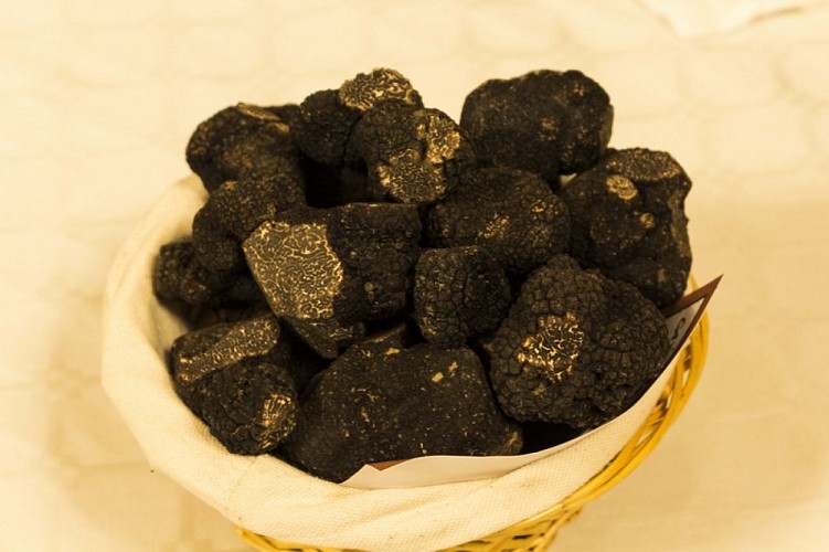 Marché aux truffes de Nérac 3