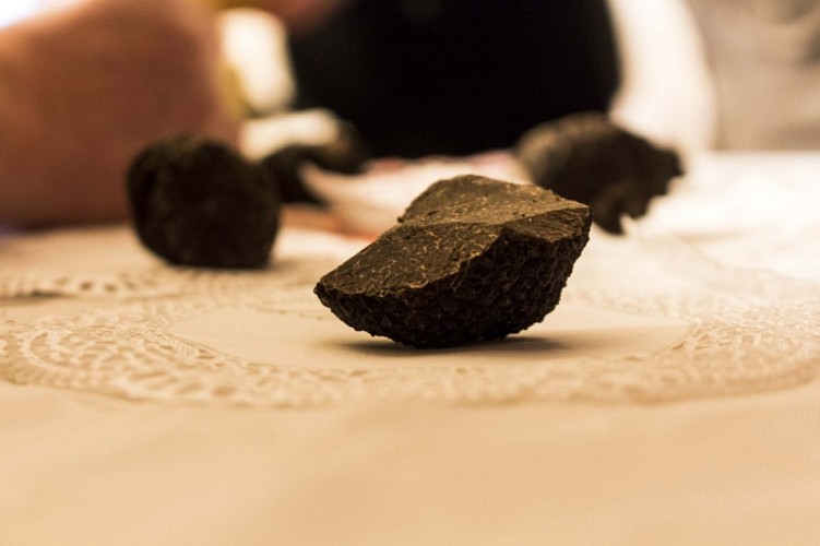 Marché aux truffes de Nérac 2