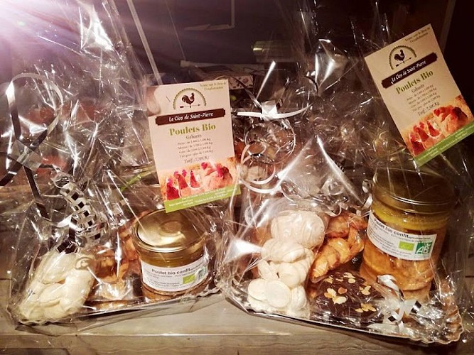 le-clos-de-saint-pierre-saint-pierre-de-clairac-destination-agen-tourisme