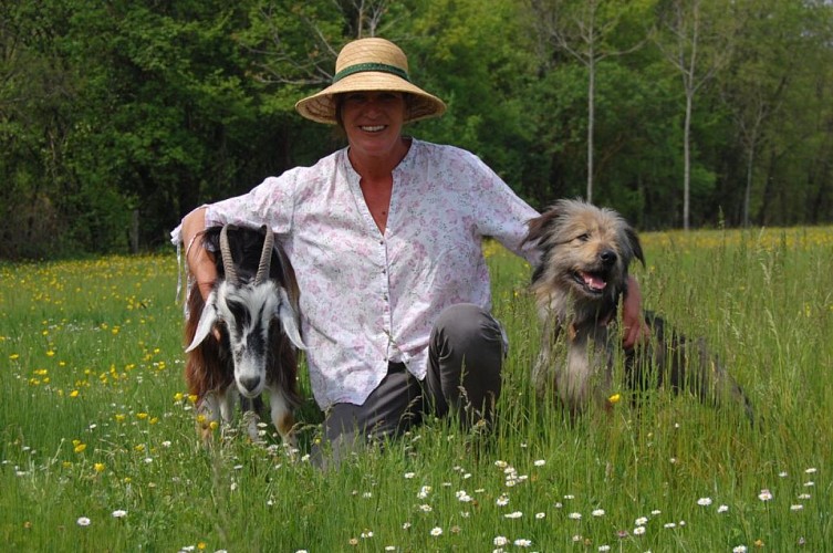 Les chèvres de Stéphanie visuel1