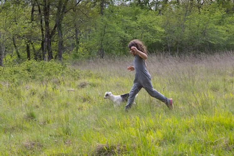 Les chèvres de Stéphanie 2021 (5)
