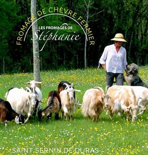 Les chèvres de Stéphanie visuel rogné