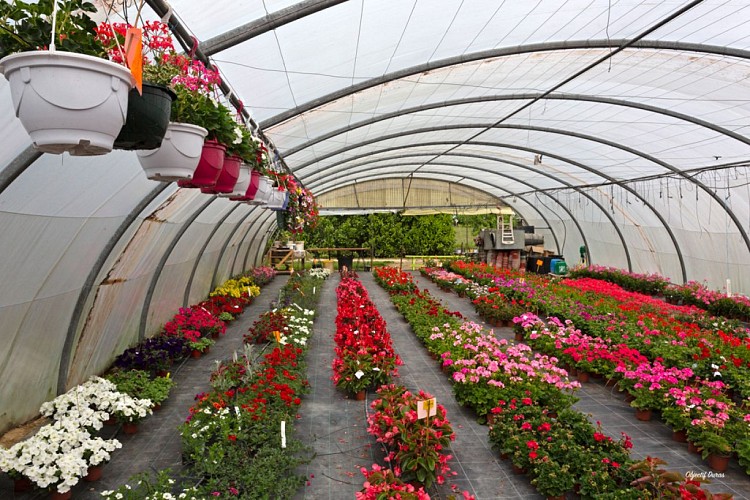 Les serres des Caulins 3