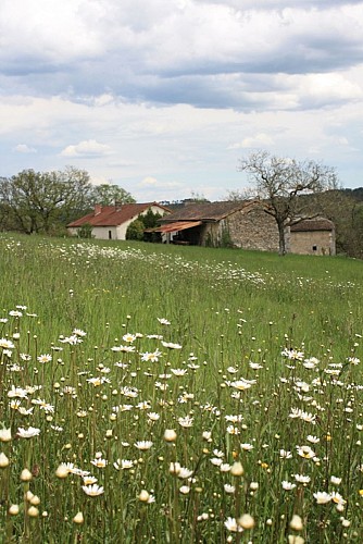 Prairie