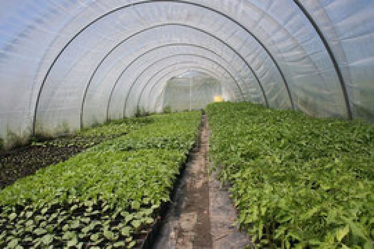 Saveurs des collines 2