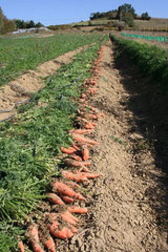 Saveurs des collines 3