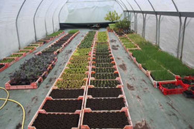 Saveurs des collines