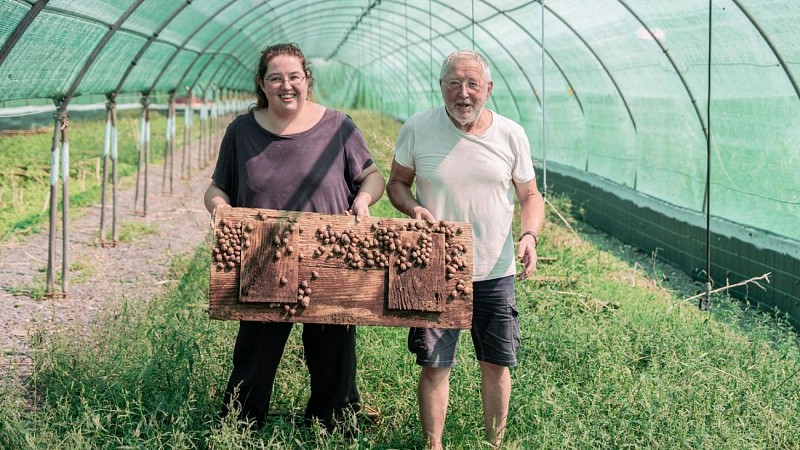Lannecaube ferme escargots©MMALVEZIN (39)