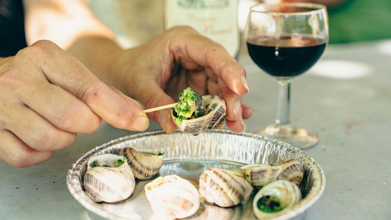 Lannecaube ferme escargots©MMALVEZIN (65)