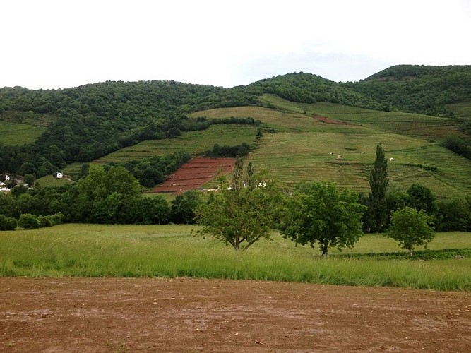 Domaine-Mourguy-vue 2-Ispoure