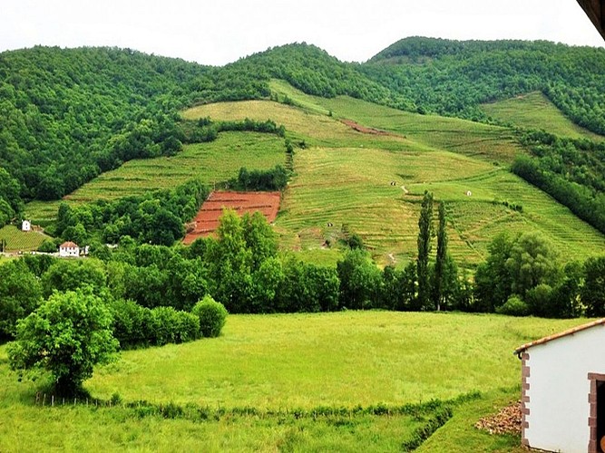 Domaine-Mourguy-vue vignes-Ispoure