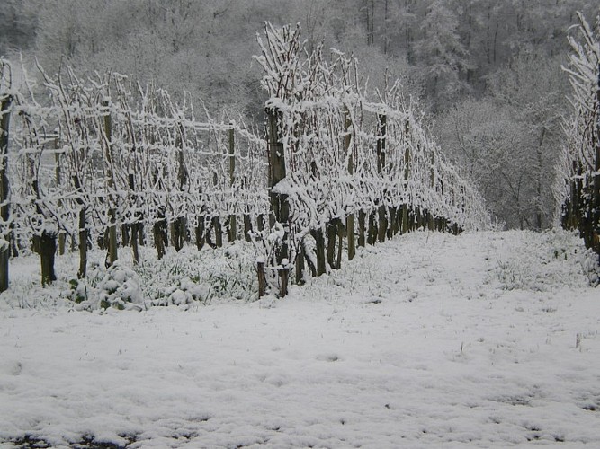 Clos Thou - Chapelle de Rousse - sous la neige
