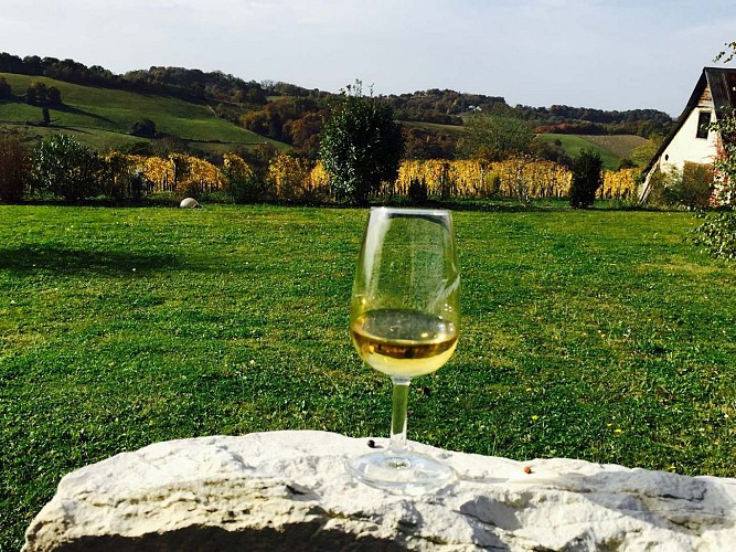 larose - verre de vin