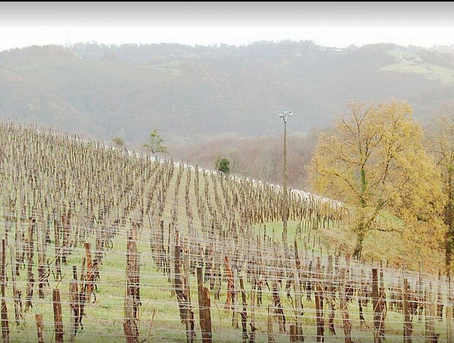 Domaine Bousquet - St Faust - l'hiver