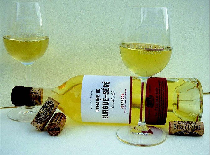 Domaine Burgué Séré - St Faust - verres