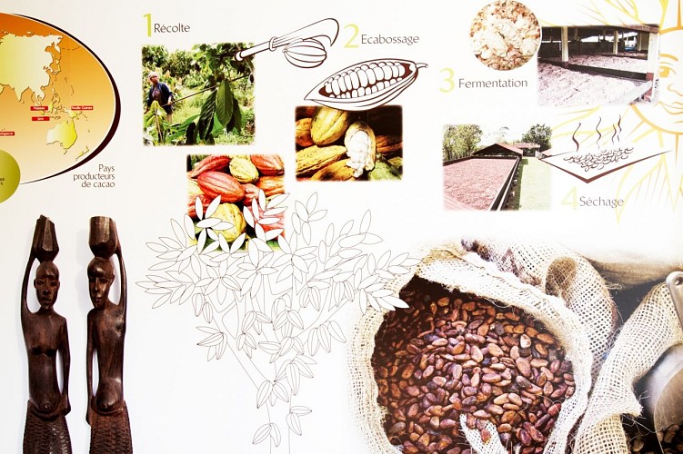 Chocolaterie - Salle 1