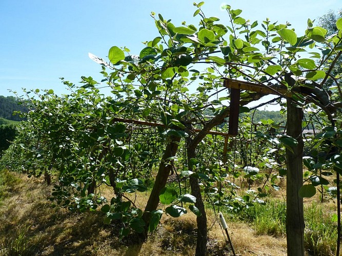 Saint-Jean-Poudge Jardilouit cr'édit tourisme nord Béarn