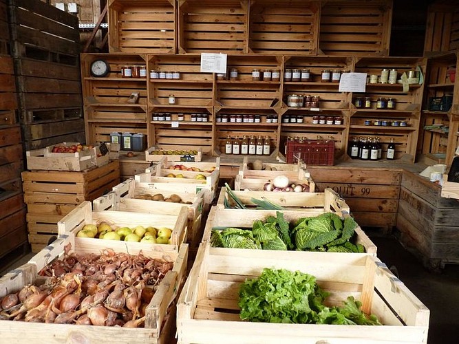 Saint-Jean-Poudge Jardilouit cph Jardilouit (4)