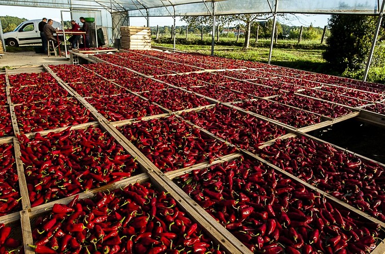Lurretik - Séchage piments