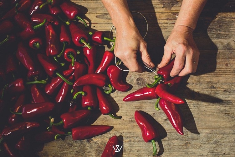 Lurretik - Corde de piments