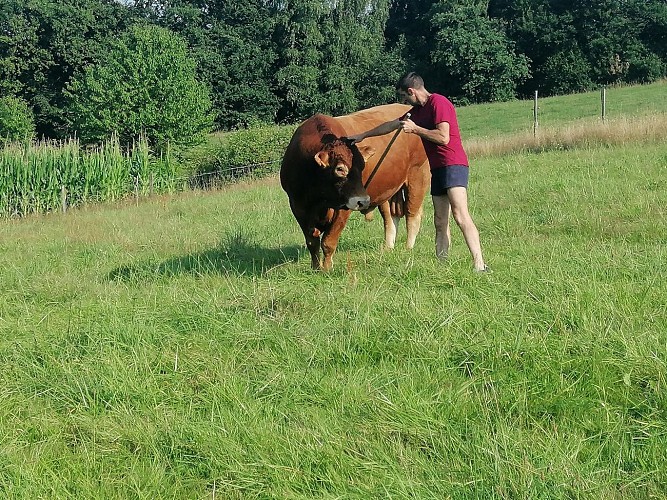 Ptits cuisines de castillon (9)