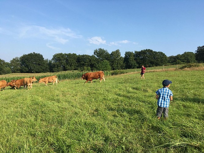 Ptits cuisines de castillon (4)