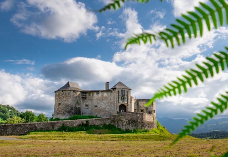 chateau fort mauleon