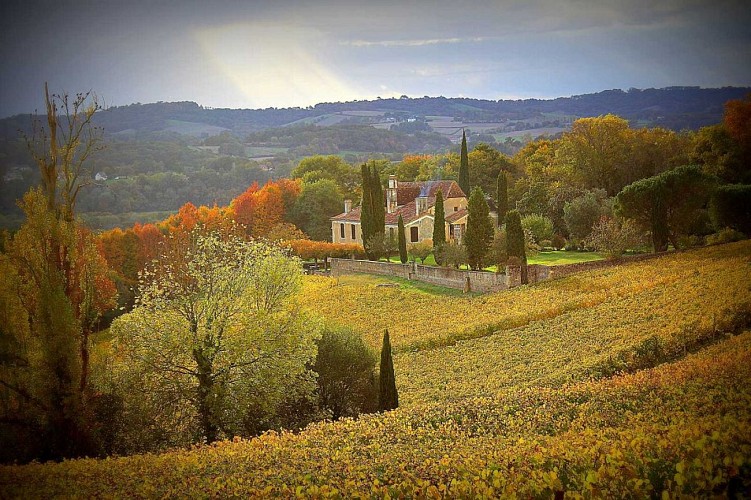 Cabidos paysage vignes et château crédit Manu Ferreira