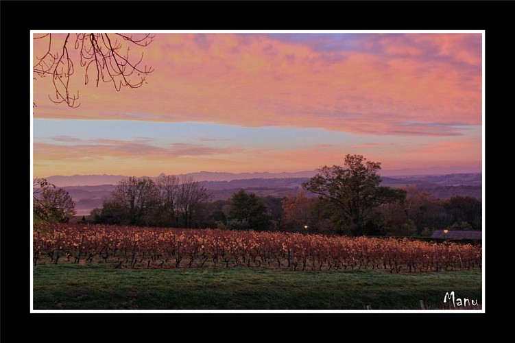 Cabidos et ses vignes 1