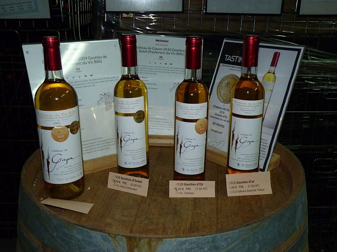 GAYON - Château de Gayon crédit SMT 14 dec 22 (12)