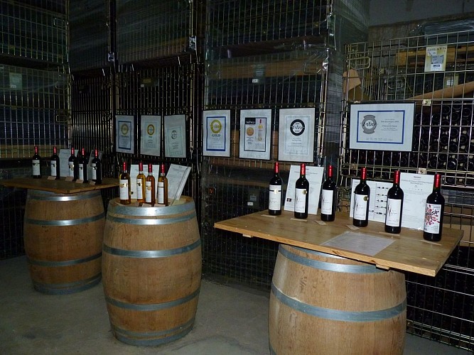 GAYON - Château de Gayon crédit SMT 14 dec 22 (10)