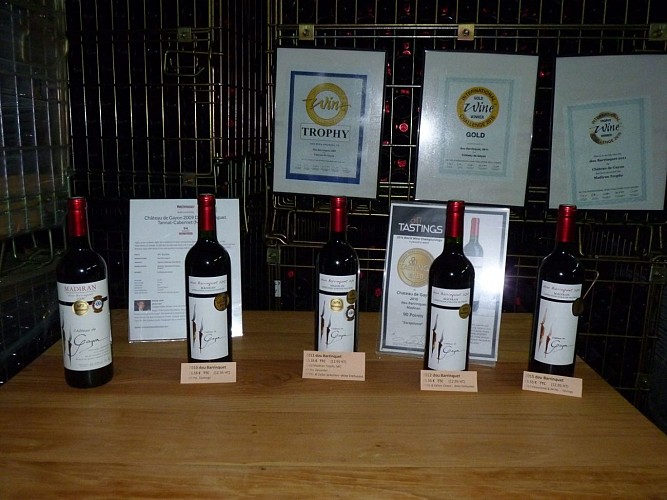 GAYON - Château de Gayon crédit SMT 14 dec 22 (13)