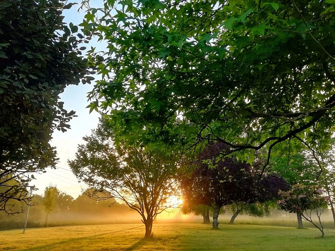 Morlanne chambres Ailleurs crédit Drugmand (4)