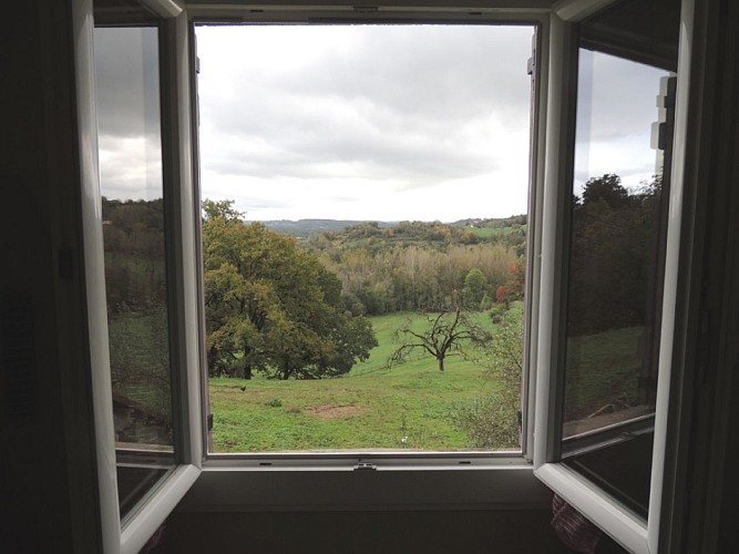 Vue sur la prairie