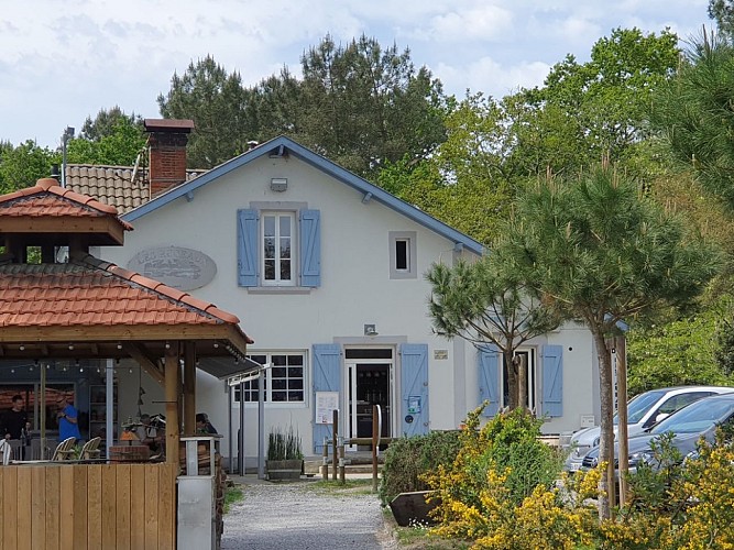 Les Roseaux @seignossetourisme (11) redim