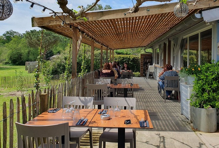 Les Roseaux @seignossetourisme (9) redim