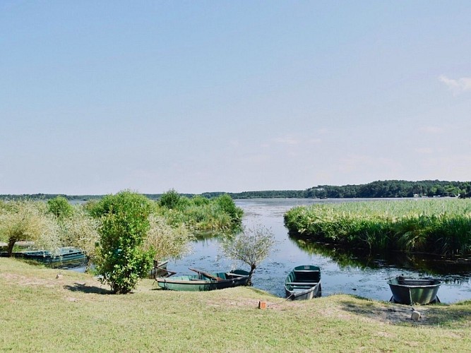 Les-roseaux-2019--Les-Roseaux--2-