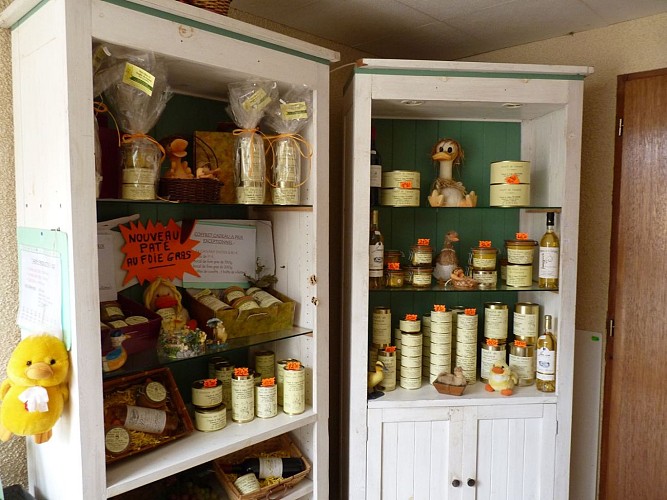 Taron Ferme Pesserre cph Tourisme Nord Béarn (1)