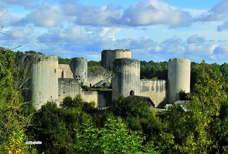 Le château du Coudray-Salbart à Echiré
