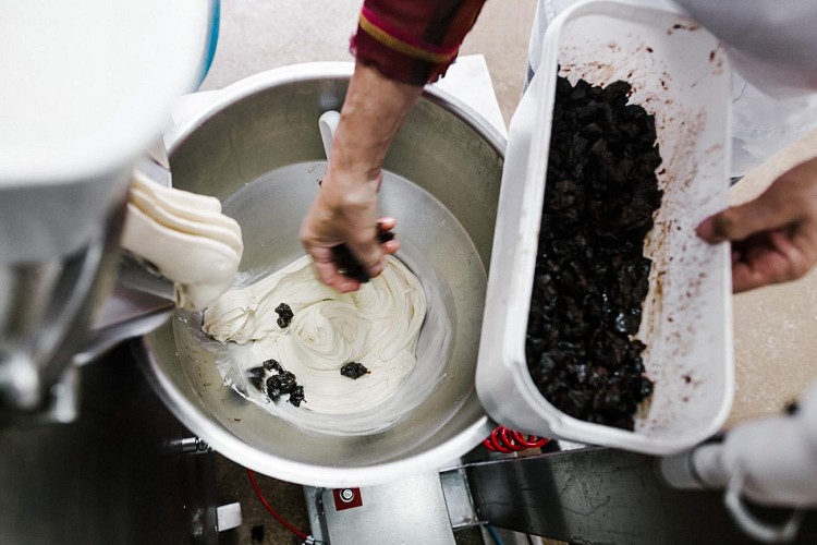 Givrés des prés glaces de la ferme (2)
