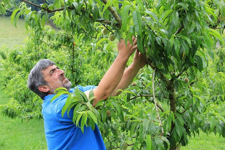 Robert bordenave montesquieu (1) [HDTV (1080)]