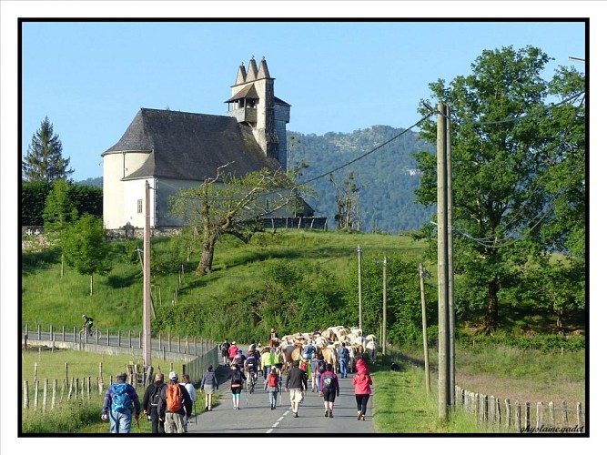 Ferme atxinea idaux soule pays basque