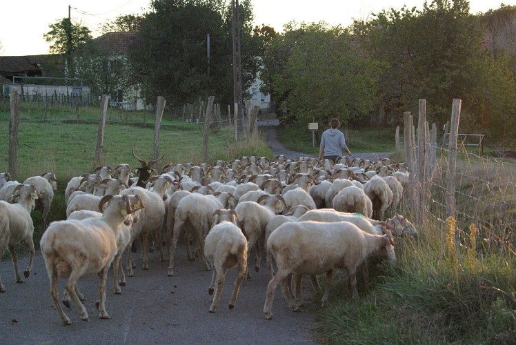 La Bergerie d'Emilie (5)