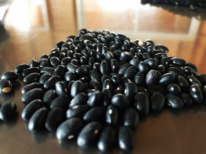 E78BFFCE-8400-47AD-8CC3-BF9F2D7F53C9