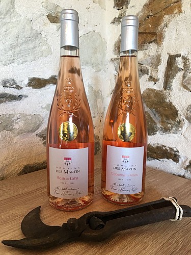 Domaine des martin viticulteur vins degustation Cersay Val en Vignes Thouarsais