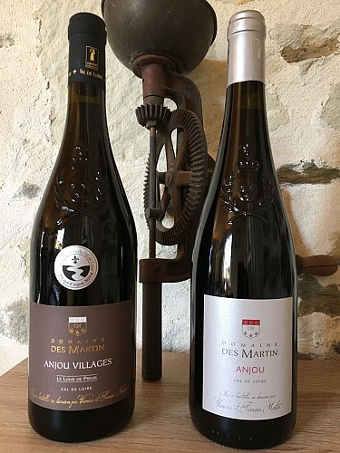 Domaine des martin viticulteur vins degustation Cersay Val en Vignes Thouarsais