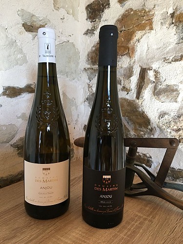 Domaine des martin viticulteur vins degustation Cersay Val en Vignes Thouarsais