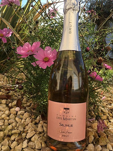 Domaine des martin viticulteur vins degustation Cersay Val en Vignes Thouarsais